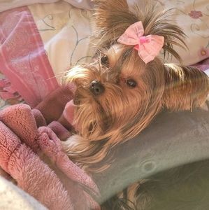 Meet your Posher, Cassie